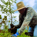 wilfer sembrando arbol.png