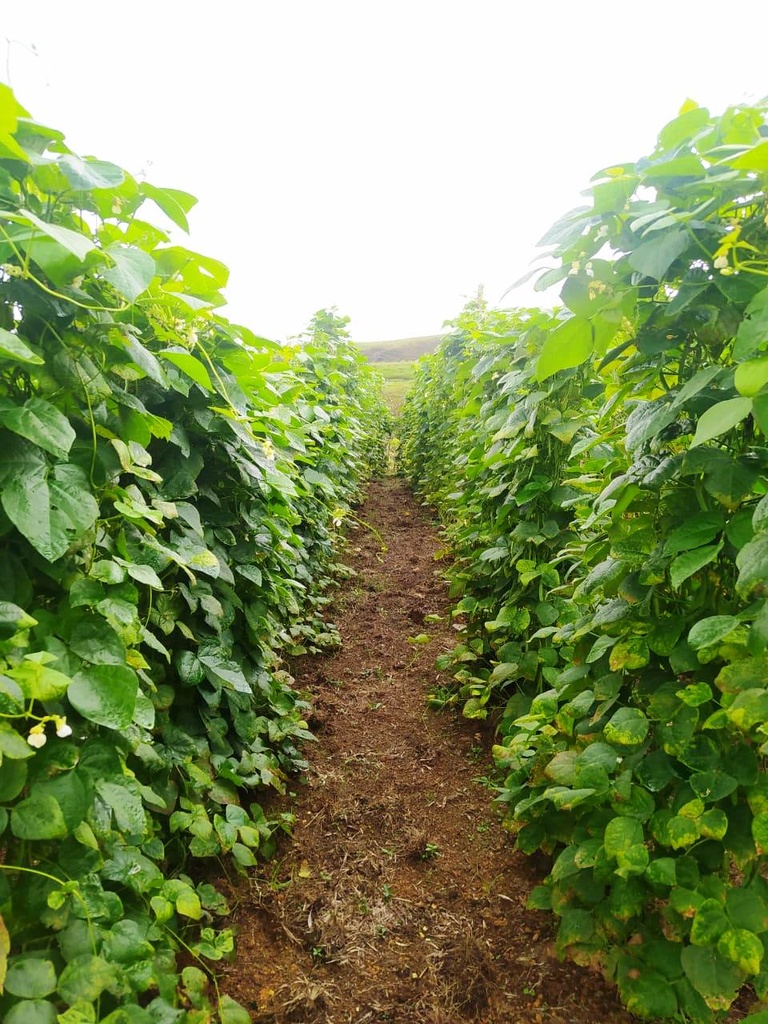 WhatsApp Image 2024-09-24 at 10.08.04 (3).jpg