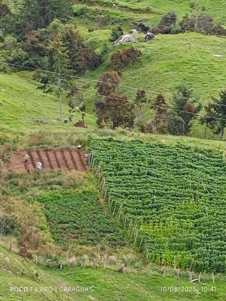 WhatsApp Image 2025-12-07 at 13.52.37 (3).jpeg