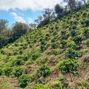 WhatsApp Image 2026-04-06 at 14.03.55.jpeg