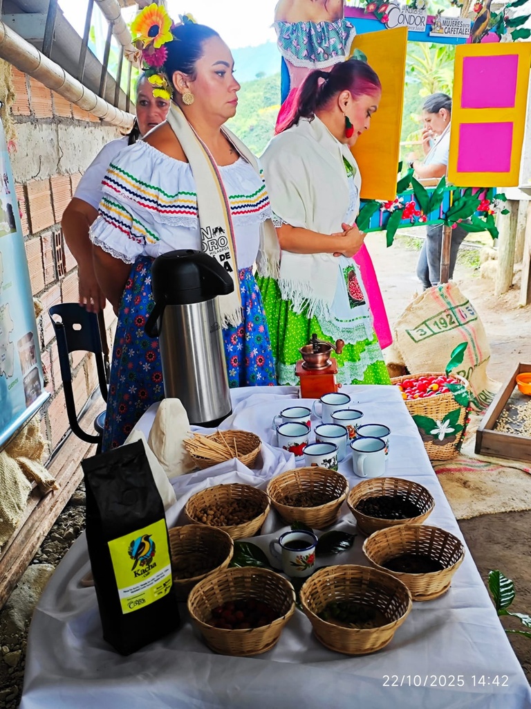 WhatsApp Image 2025-11-17 at 11.33.18 AM.jpeg