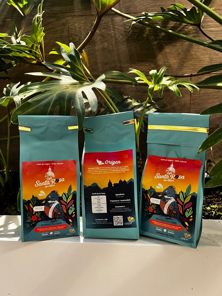 WhatsApp Image 2025-12-07 at 13.24.16.jpg