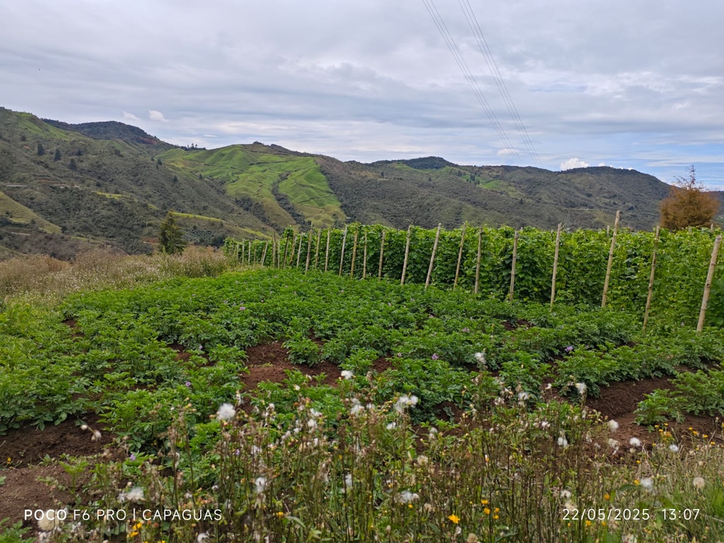 WhatsApp Image 2025-12-07 at 13.55.53 (3).jpeg