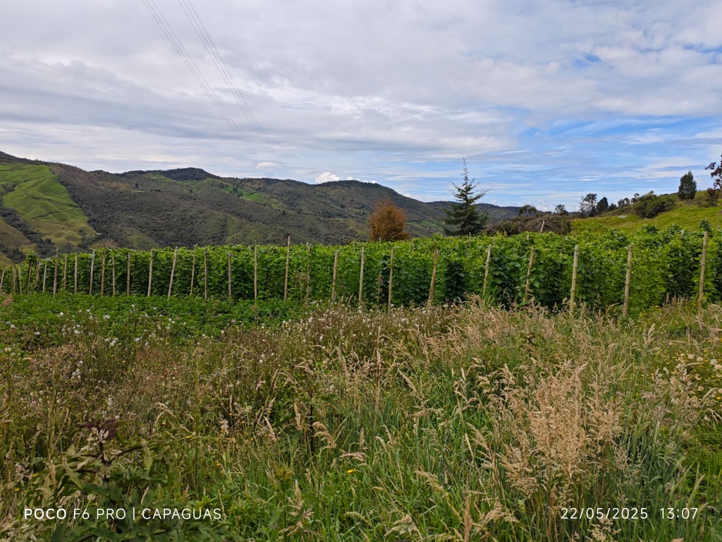 WhatsApp Image 2025-12-07 at 13.55.53 (2).jpeg