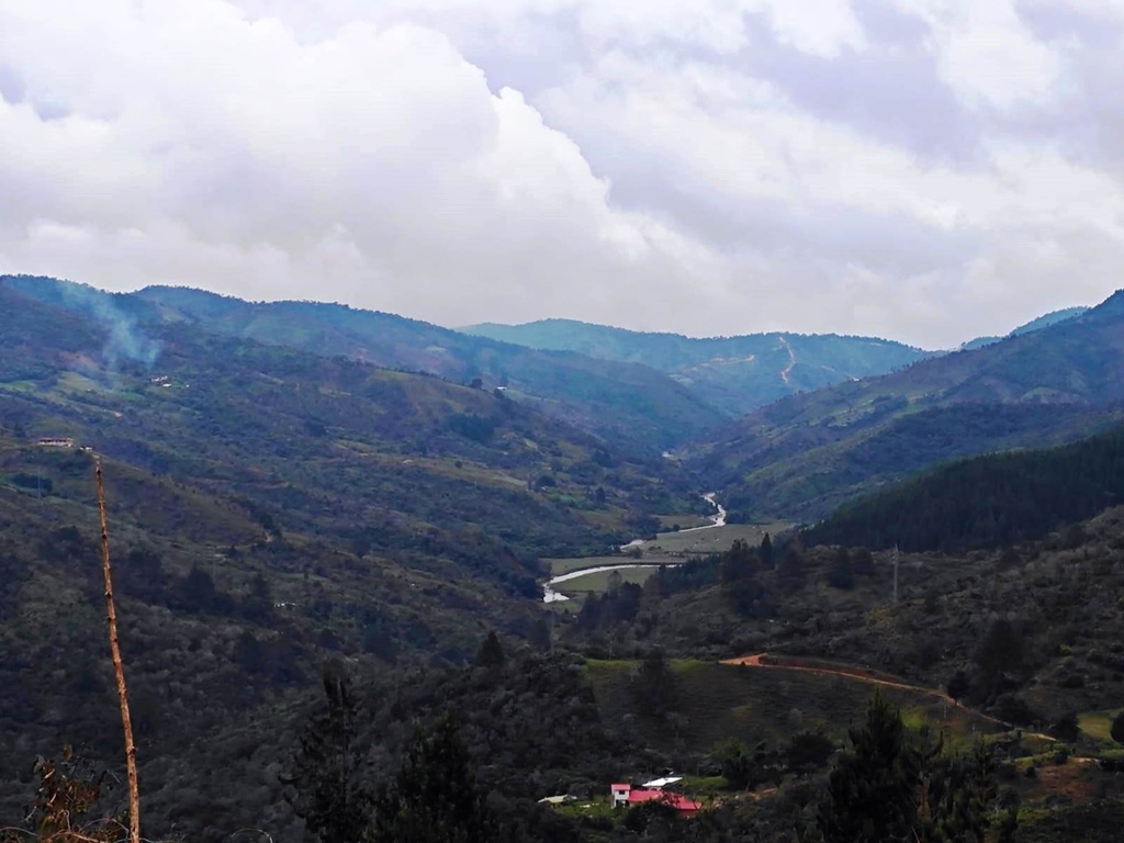 WhatsApp Image 2026-01-14 at 08.10.13.jpeg