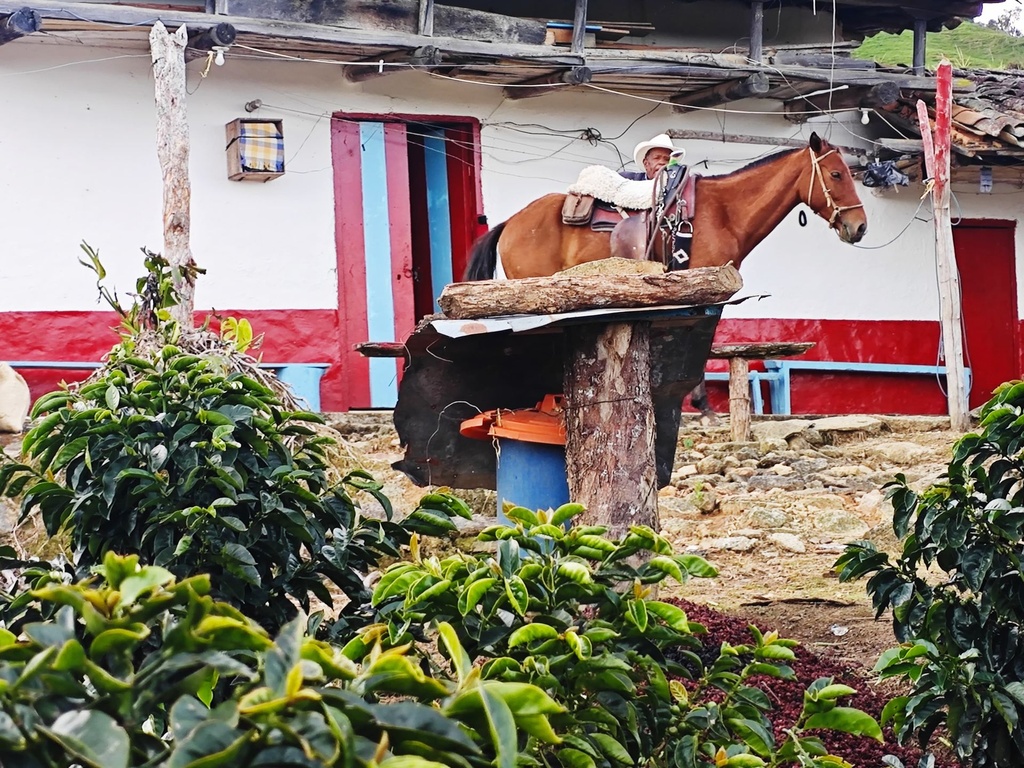 WhatsApp Image 2025-08-06 at 6.26.41 PM.jpg