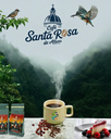 ​Café Especial Santa Rosa de Altura 2.200 MSN.