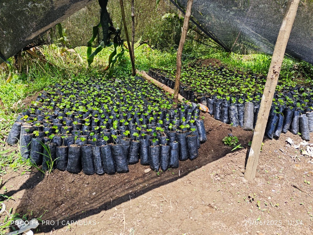 WhatsApp Image 2025-12-07 at 13.52.36 (1).jpg