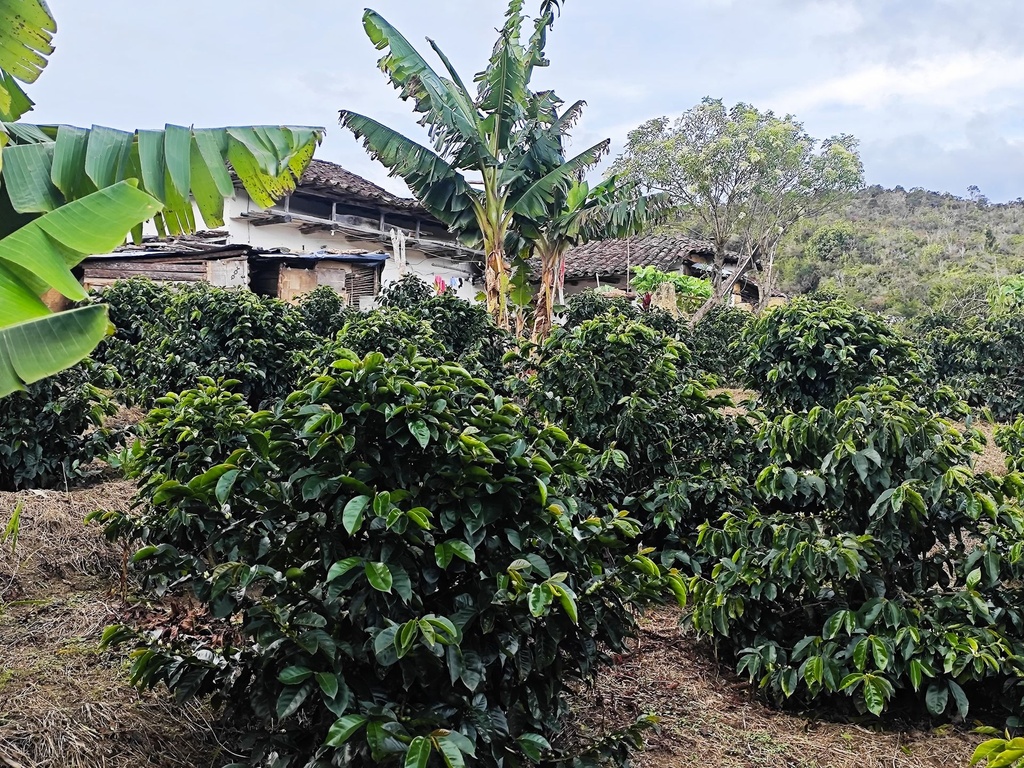 WhatsApp Image 2025-08-06 at 6.25.52 PM.jpg