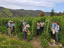 AgroExperiencia por cultivos de Frijol o Aguacate, Incluye:  desayuno, Almuerzo, plato tipico bandeja Paisa, refrigerio e hidratación, Transporte y Póliza. Aforo desde 5 personas. Aplican términos y condiciones