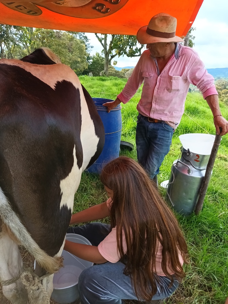 Agroexperiencia  lechera, plan familiar o en pareja.  Hacer quesito montañero. Desayuno Almuerzo,  comida.   Transporte y Póliza. Aforo desde 5 personas. Aplican términos y condiciones
